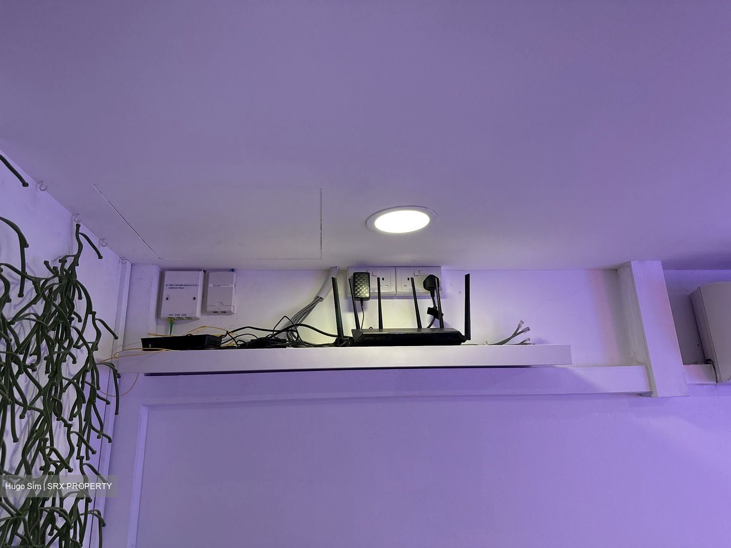 Vertex (D14), Office #475947041